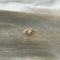 Diamond eye earring