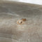 Diamond eye earring