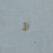 Moon earring