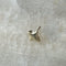 Star earring